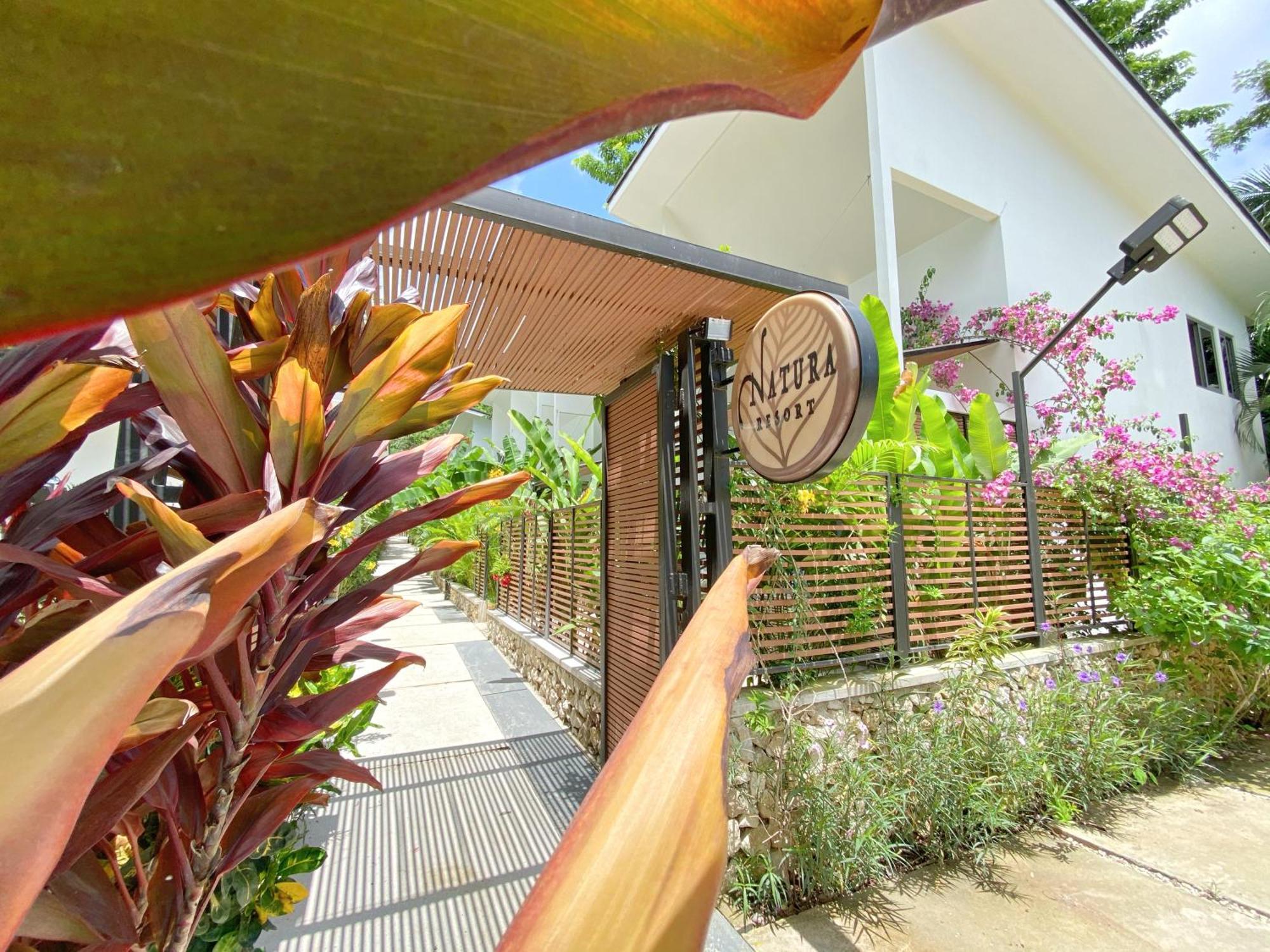 Natura Loft Garden Playa Santa Teresa  Eksteriør bilde